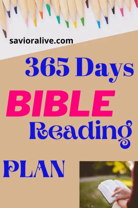 365 Day Bible Reading Plans For 2023